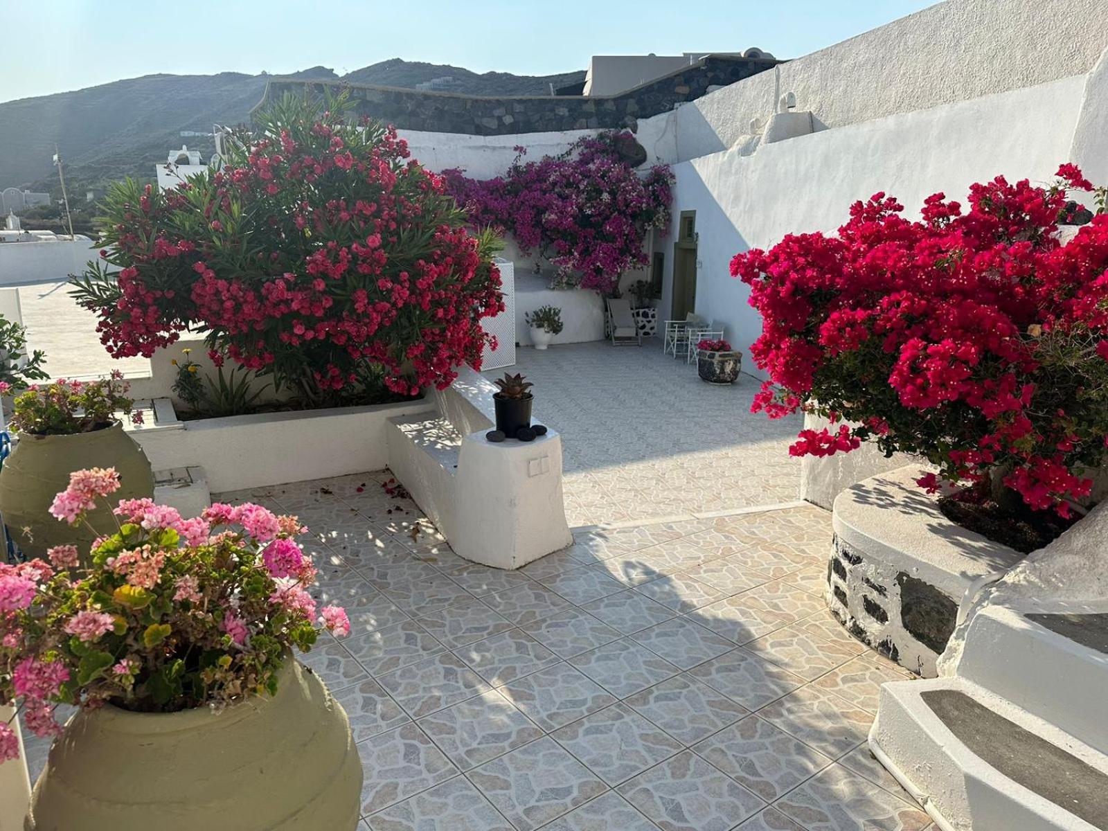 Palm Tree Hill Oia Exterior foto