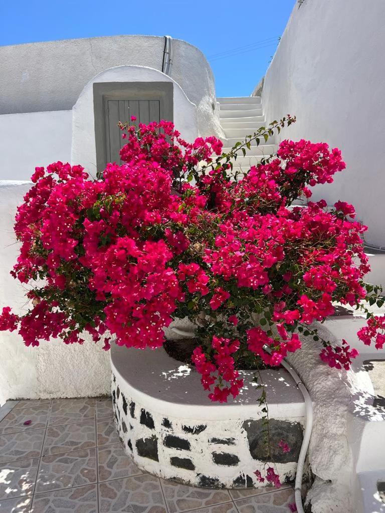 Palm Tree Hill Oia Exterior foto