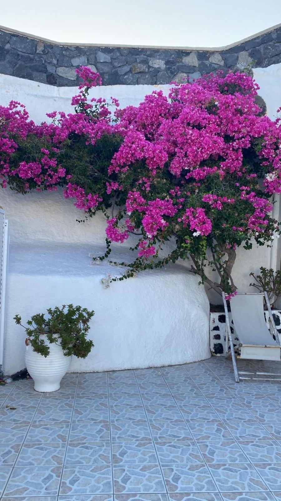 Palm Tree Hill Oia Exterior foto