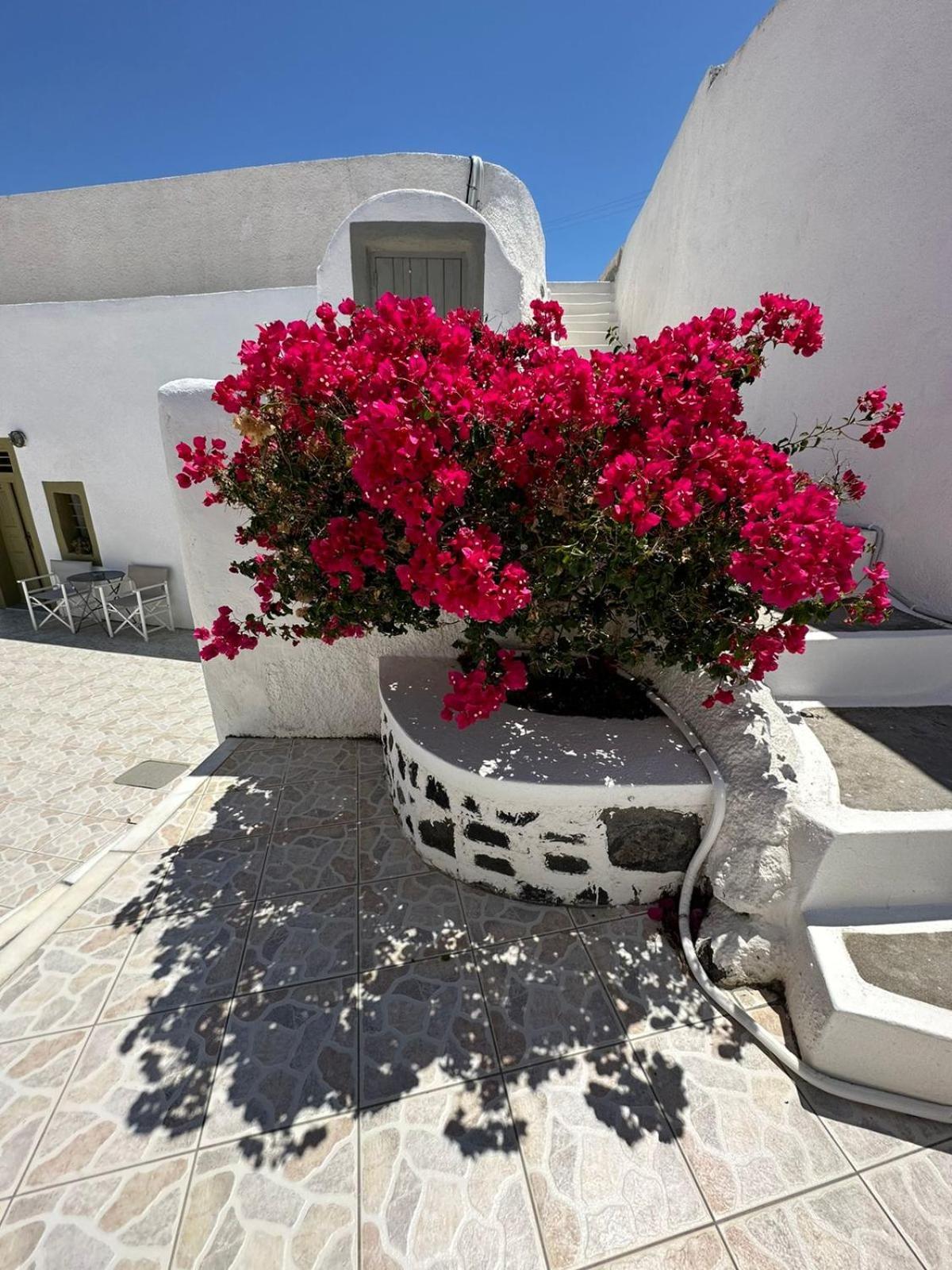 Palm Tree Hill Oia Exterior foto